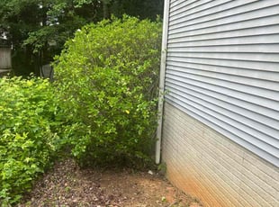 Bush Trimming by Carrissa Sherman for Robert Y. in Newnan, GA