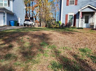 Leaf Removal by Denise James for Danny R. in Charlotte, NC