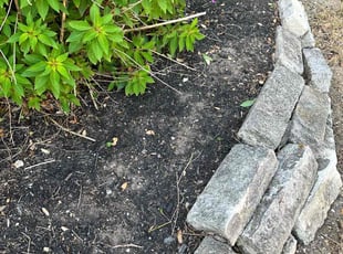 Weeding by Brian Sky for Karen L. in San Antonio, TX