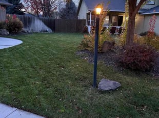 Leaf Removal by Cody Smith for Dmytro A. in Boise, ID