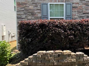 Bush Trimming by Jarvis Hambrick for Ian B. in Greenville, SC