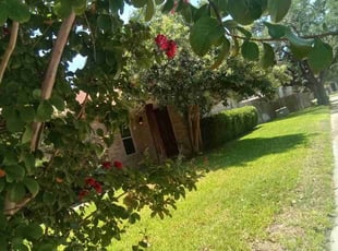 Deborah c.'s Lawn Care service result