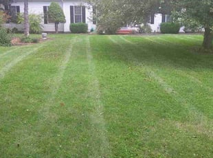 Bob S.'s Grass Cutting service result