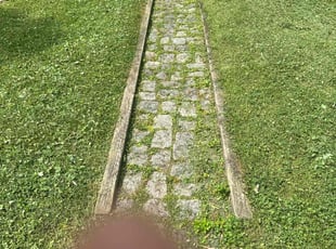 Weeding by Evan Edler for Brennan F. in Richmond, VA