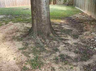 Cleanups by Daniel antonio Mejia orellana for Joe K. in Houston, TX