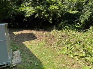 Cleanups by Emmitt Jones for Lauren M. in Wake Forest, NC