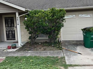 Bush Trimming by Adrianna Soto for Micheal A. in San Antonio, TX