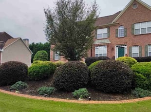 Bush Trimming by Elvin Dobbs for Sedric M. in Powder Springs, GA