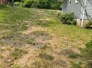 Aeration by Jared Ravagni for Alese C. in Billerica, MA