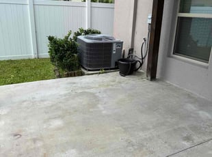 Bush Trimming by William Chavers for Michael W. in Tampa, FL