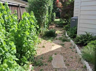 Bush Trimming by Carter Bascle for Amy K. in Dallas, TX