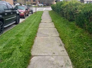 Robert O.'s Lawn Mowing Service service result