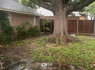 Leaf Removal by Junior G for Wendi L. in Allen, TX