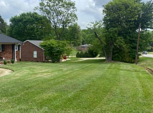 Liza S.'s Yard Cutting service result