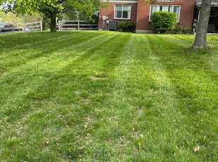 Shawn V.'s Lawn Mowing Service service result
