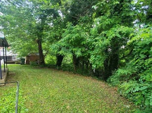 Cleanups by James Young for Rashida R. in Baltimore, MD