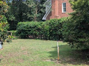Cleanups by Jacob Wilson for Leo S. in Mount Pleasant, SC