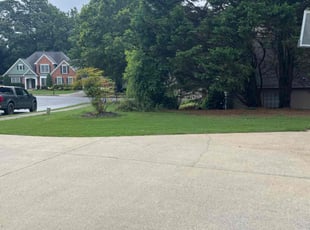 Bush Trimming by Jonathan Clark for Tammie S. in Buford, GA