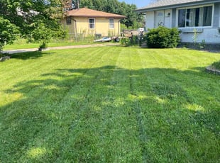 Walterina B.'s Grass Cutting service result