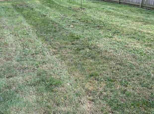 Leaf Removal by Luis Contreras for Daniel I. in Indianapolis, IN