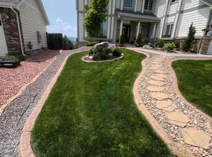 Cleanups by David Williams for Terry D. in Castle Rock, CO