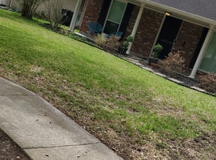 Leaf Removal by Andrew Casares for Brian V. in Houston, TX