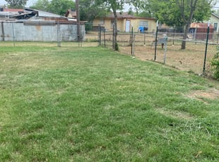 Leaf Removal by Joseph Arredondo for Gabe L. in San Antonio, TX