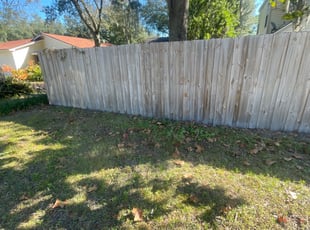 Cleanups by Ramon Taguja for Amanda B. in Tampa, FL