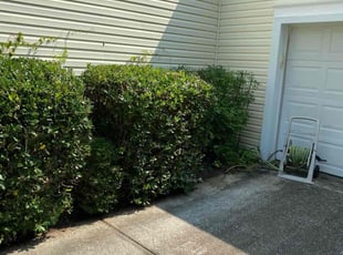 Bush Trimming by William Sellers for Sharon D. in Mount Pleasant, SC
