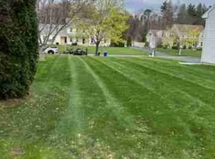 Joseph R.'s Lawn Care service result