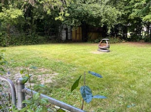 Bush Trimming by Arnan Valmont for Delresse B. in Milwaukee, WI