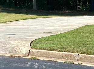 Caroline S.'s Lawn Service service result