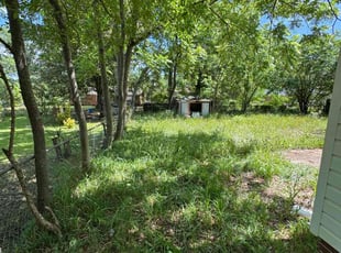 Bush Trimming by Kinnon Tatum for Hunt H. in Fayetteville, NC