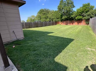 Frank T.'s Yard Cutting service result