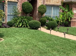 Bush Trimming by Nate Collins for Larry M. in Arlington, TX