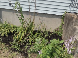Mulching by Nick Salter for Masako K. in Worcester, MA