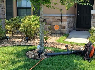 Bush Trimming by William Chavers for Bobby R. in Tampa, FL