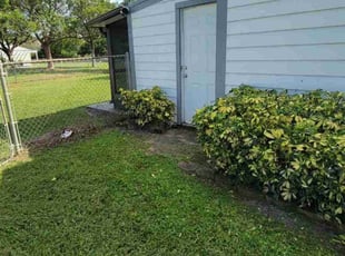 Bush Trimming by Kirk Henry for Joshua B. in Boynton Beach, FL