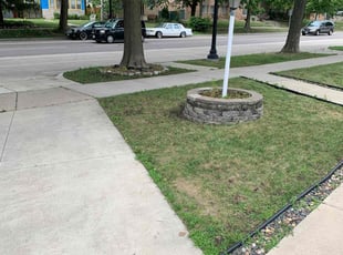 Cleanups by Mario Williams for Briley O. in Minneapolis, MN