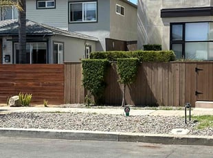 Weeding by Nicholas Poulsen for Michael F. in San Diego, CA