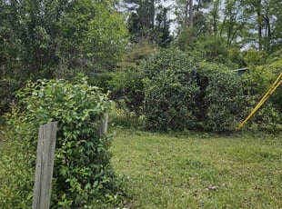Bush Trimming by Bennie Dixon for Durelle L. in Columbia, SC