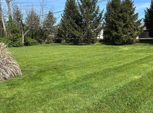 Sumo A.'s Lawn Mowing service result