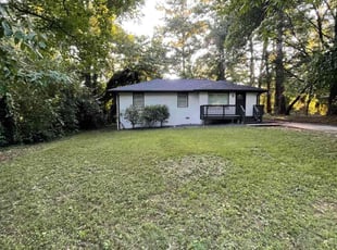 Cleanups by Kirk Ruffin for Bannon B. in Decatur, GA