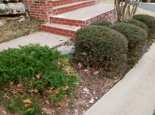 Cleanups by Freddy Santaliz for James H. in Bixby, OK