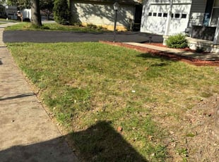 Leaf Removal by Edwin Villagran for Peter S. in North Potomac, MD