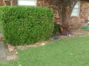 Bush Trimming by Demetrius Curry for Judy S. in Broken Arrow, OK