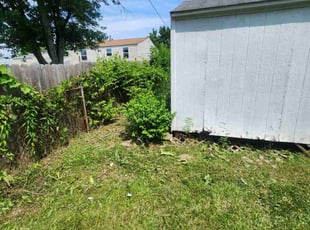 Cleanups by D'andre Antrion Covington for Tekoa S. in Cincinnati, OH