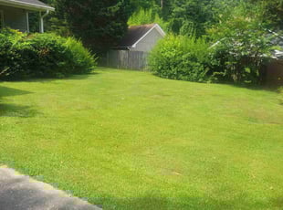 Andrew G.'s Lawn Service service result
