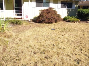 Cleanups by Amy Reddy for Cherie S. in Auburn, WA