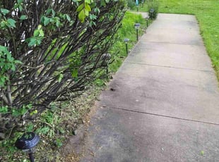 Weeding by Matthew chaney for Diane L. in Newton Falls, OH